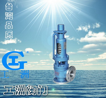 电站安全阀