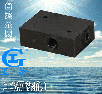 双联单向阀
