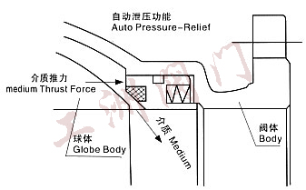 尺寸图