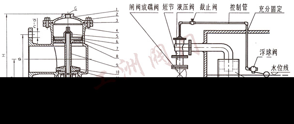 结构示意图